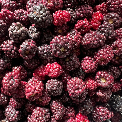 freeze-dried-blackberries-nutritreat-nutriboom-healthy-treats-snacks-pets